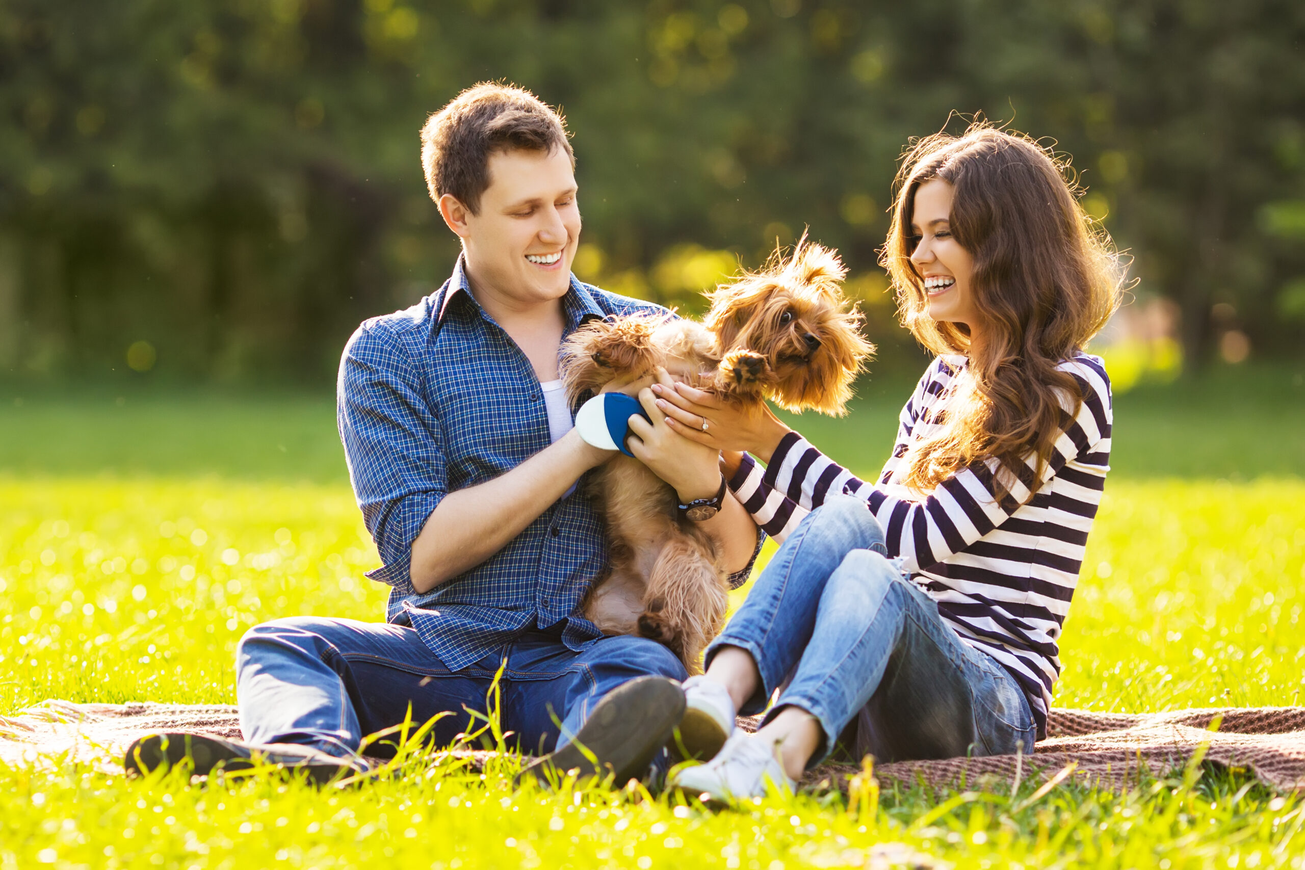 Parque para perros